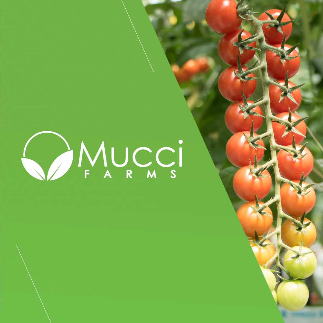 Cox Makes Strategic Investment in Mucci Farms