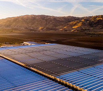 Mucci Farms Expands Westward with 32-Acre Greenhouse in California 