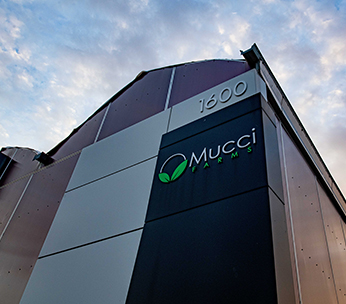 Mucci Farms Celebrates Multiple Awards for Talent and Packaging Innovation