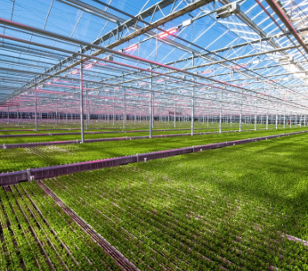 BrightFarms Expands to Texas with New State-of-the-Art Greenhouse in Lorena